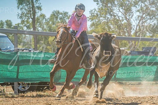 DSC_1259.jpg 2019 Croydon Campdraft 