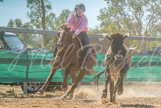 DSC_1260.jpg 2019 Croydon Campdraft 