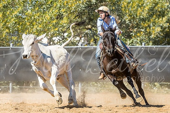 DSC_1272.jpg 2019 Croydon Campdraft 