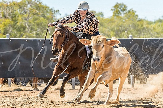 DSC_1264.jpg 2019 Croydon Campdraft 