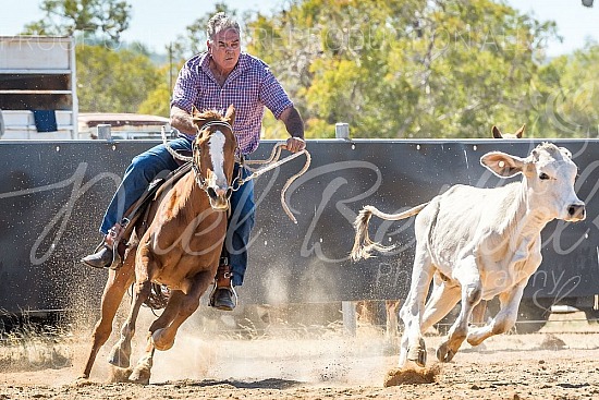 DSC_1258.jpg 2019 Croydon Campdraft 