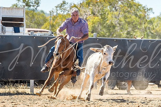 DSC_1255.jpg 2019 Croydon Campdraft 