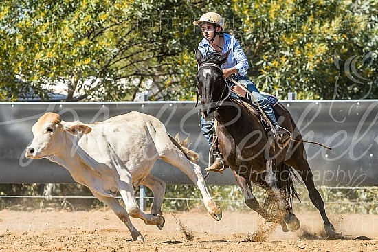 DSC_1232.jpg 2019 Croydon Campdraft 