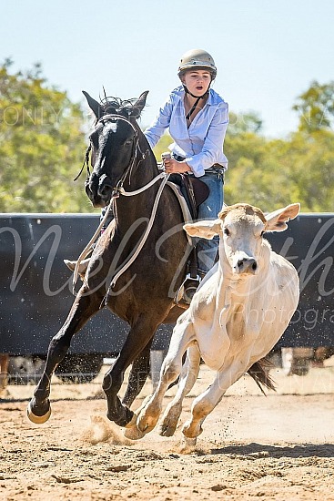 DSC_1233.jpg 2019 Croydon Campdraft 