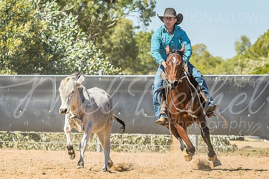 DSC_1243.jpg 2019 Croydon Campdraft 