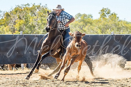 DSC_1251.jpg 2019 Croydon Campdraft 