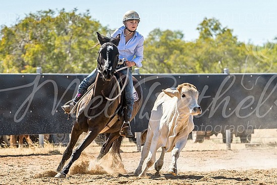 DSC_1235.jpg 2019 Croydon Campdraft 