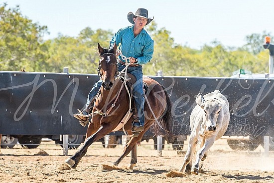 DSC_1244.jpg 2019 Croydon Campdraft 