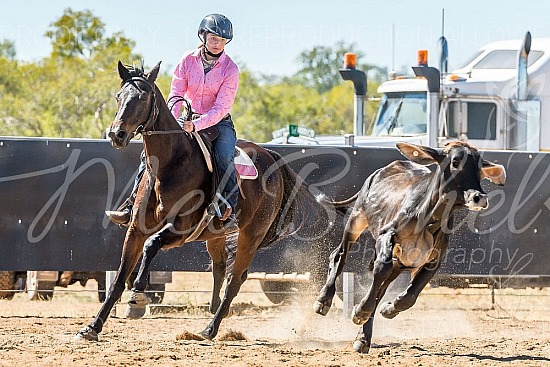 DSC_1276.jpg 2019 Croydon Campdraft 