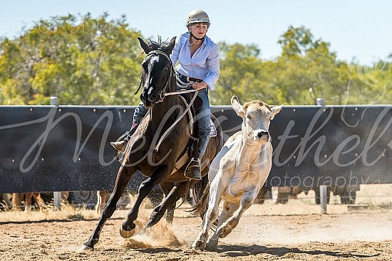 DSC_1234.jpg 2019 Croydon Campdraft 