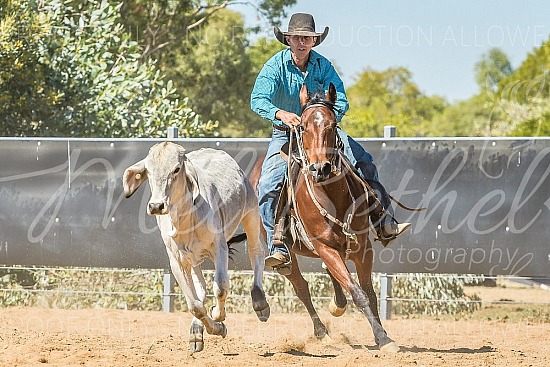 DSC_1241.jpg 2019 Croydon Campdraft 