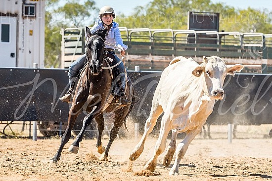 DSC_1278.jpg 2019 Croydon Campdraft 