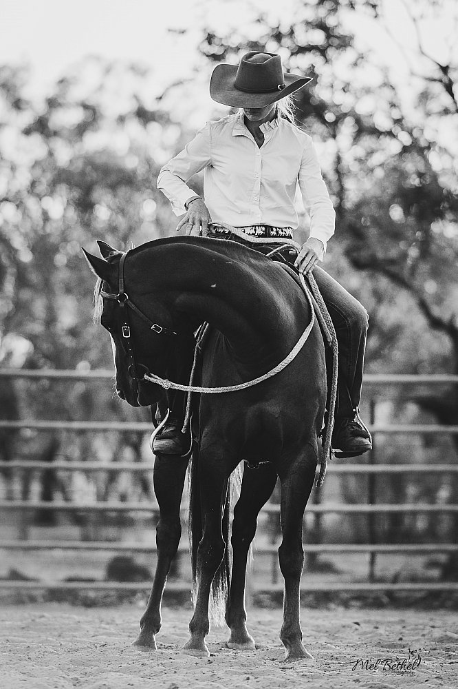 BK Horsemanship - Branding and Content Creation Session