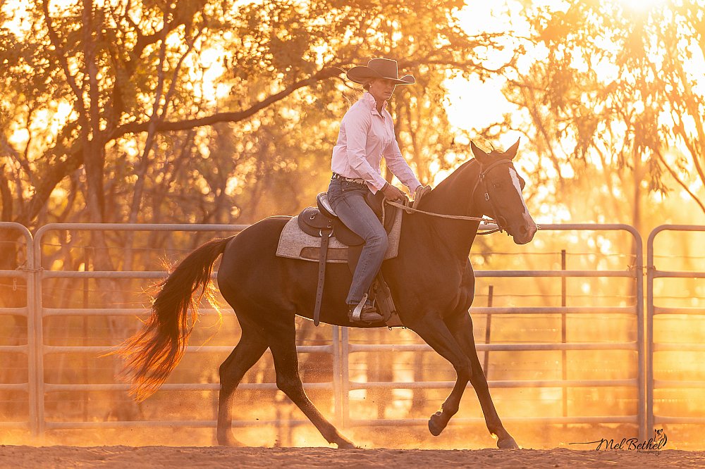 BK Horsemanship - Branding and Content Creation Session
