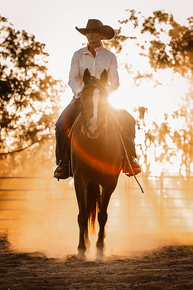 BK Horsemanship - Branding and Content Creation Session