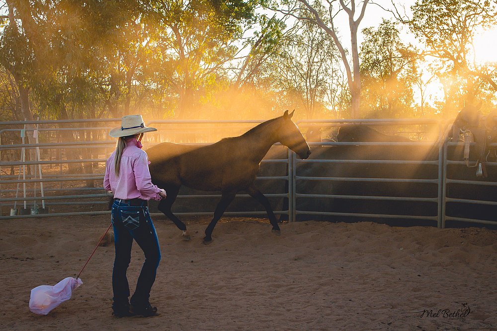 BK Horsemanship - Branding and Content Creation Session