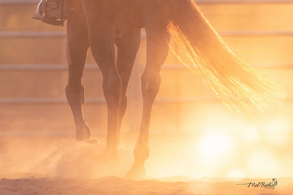 BK Horsemanship - Branding and Content Creation Session