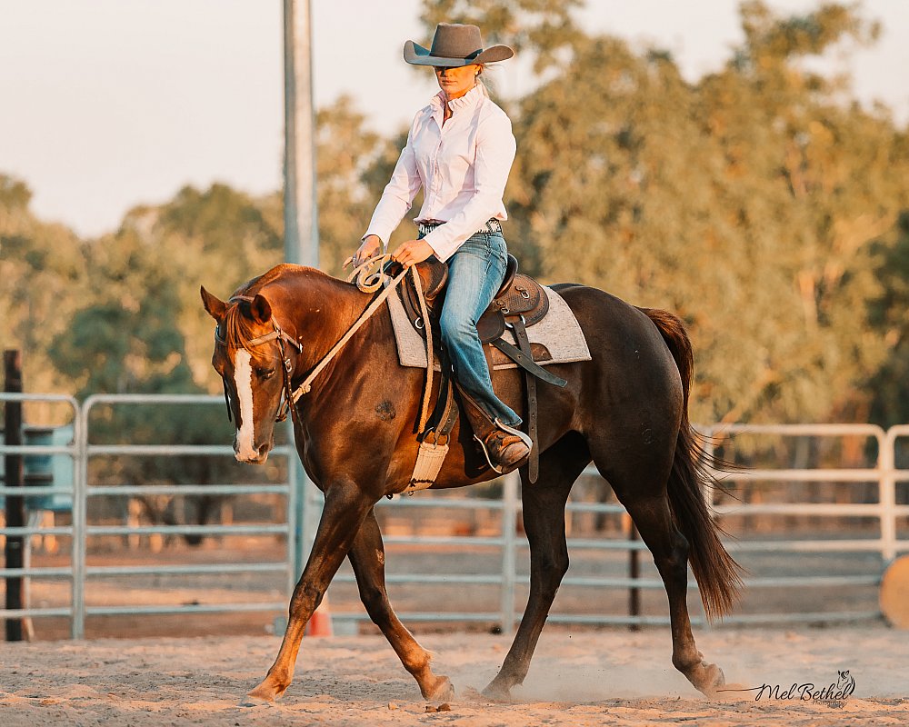 BK Horsemanship - Branding and Content Creation Session