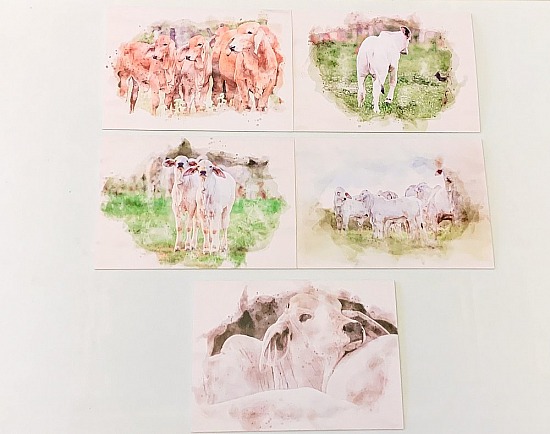 Watercolour Greeting Cards