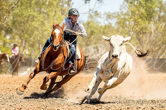 2022 Borroloola Campdraft 