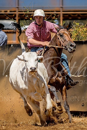 DSC_7210.jpg 2023 Daly Waters Campdraft and Rodeo 