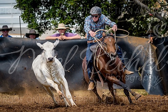 DSC_7215.jpg 2023 Daly Waters Campdraft and Rodeo 