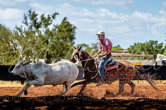 _MLB7379.jpg 2023 Daly Waters Campdraft and Rodeo 