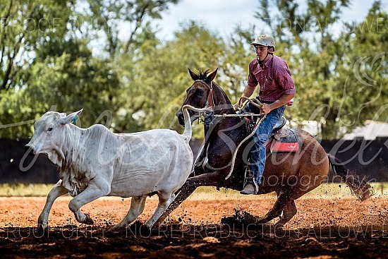 _MLB7381.jpg 2023 Daly Waters Campdraft and Rodeo 