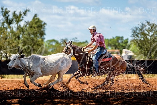 _MLB7378.jpg 2023 Daly Waters Campdraft and Rodeo 