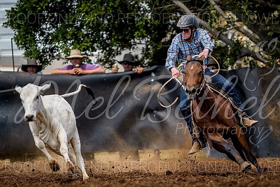 DSC_7219.jpg 2023 Daly Waters Campdraft and Rodeo 