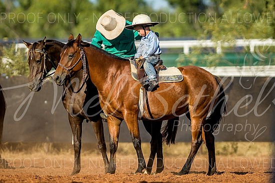 DSC_7284.jpg 2023 Daly Waters Campdraft and Rodeo 