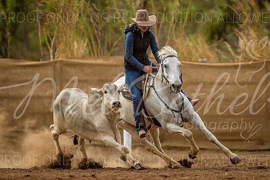 2023 Douglas Daly Campdraft