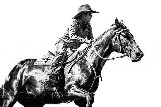 2025 Timber Creek Campdraft