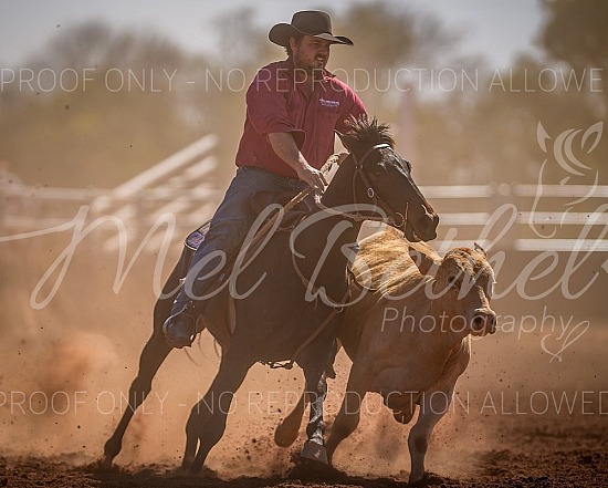2025 Tennant Creek Campdraft 