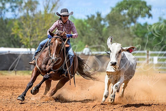 2026 Daly Waters Campdraft