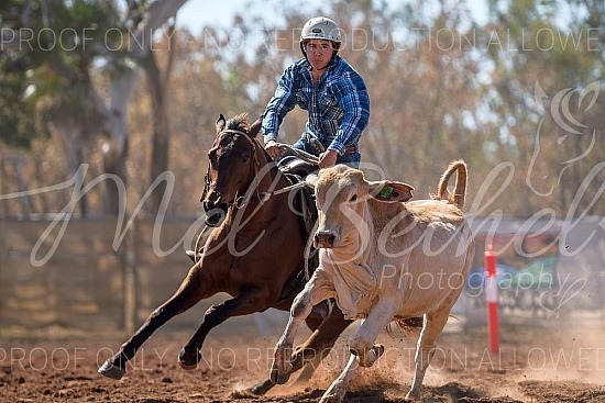 2026 Douglas Daly Campdraft